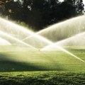 Understanding the Impact of Weather on Turf Management Practices