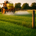 Effective Strategies for Weed Control in Turf Management
