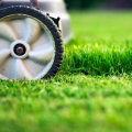 Finding the Right Cutting Height for Different Types of Turf Grass