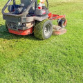 Why Turf Recovery After Heavy Foot Traffic Requires More Than Basic Lawn Care