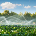 Mastering Turf Management: Crafting the Perfect Irrigation Schedule