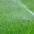 Optimal Timing for Watering Your Turf: A Guide to Effective Turf Management