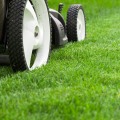 Finding the Right Mowing Height for Healthy Turf Management