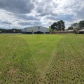 Effective Strategies for Preventing Turf Compaction and Its Importance in Turf Management