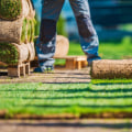 Sustainable Approaches to Turf Management: Reducing Chemical Treatments