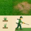 Understanding Common Turf Diseases and Effective Management Strategies