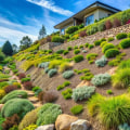 Effective Strategies for Preventing Erosion on Sloped Turf Areas