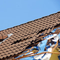 Revive Your Landscape with Storm Damage Restoration