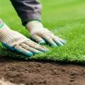 The Impact of Mowing Techniques on Turf Health: A Comprehensive Look at Turf Management
