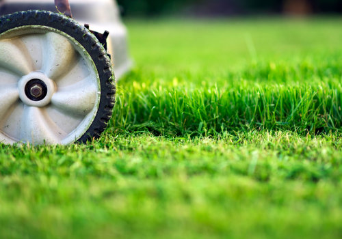 Finding the Right Cutting Height for Different Types of Turf Grass