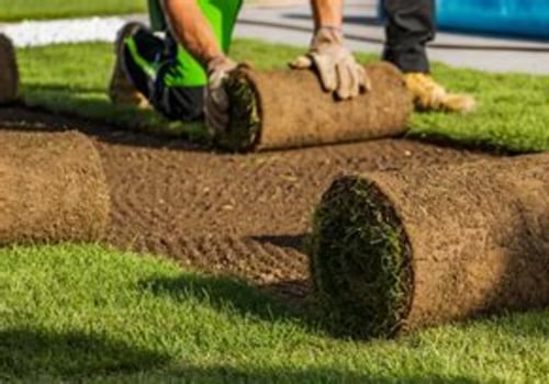Avoiding Common Pitfalls in Turf Management: Key Mistakes to Watch Out For