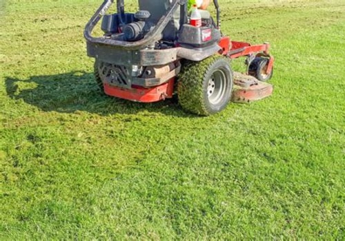 Why Turf Recovery After Heavy Foot Traffic Requires More Than Basic Lawn Care