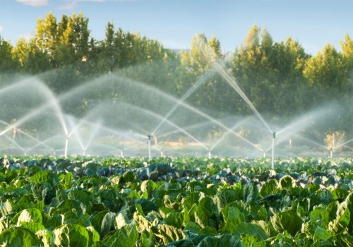 Mastering Turf Management: Crafting the Perfect Irrigation Schedule