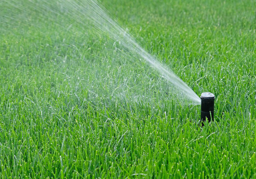 Optimal Timing for Watering Your Turf: A Guide to Effective Turf Management