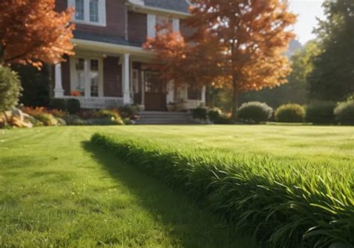 Essential Turf Management: Understanding Fertilization Frequency