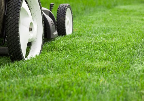 Finding the Right Mowing Height for Healthy Turf Management