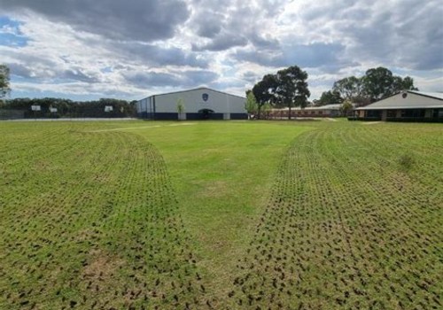 Effective Strategies for Preventing Turf Compaction and Its Importance in Turf Management