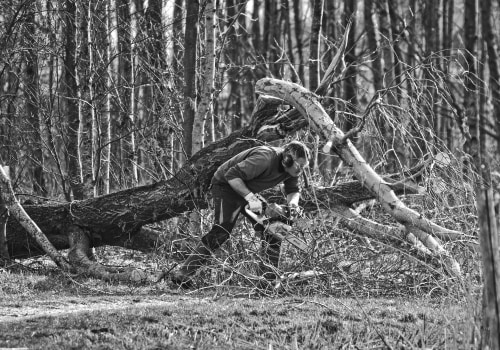 Enhance Your Property with Expert Turf and Tree Services