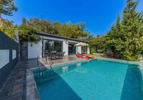 Transform Your Yard with Expert Pool Design & Turf Management