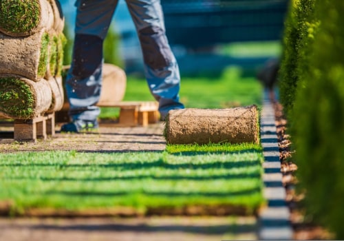 Sustainable Approaches to Turf Management: Reducing Chemical Treatments