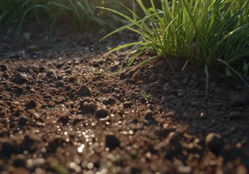Enhancing Soil Health for Thriving Turf: Effective Turf Management Strategies