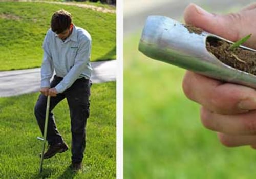 Understanding the Importance of pH in Effective Turf Management