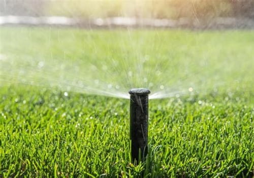 Mastering Turf Management: How to Determine the Right Irrigation Amount