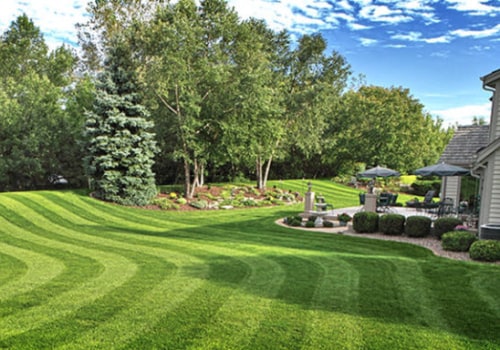The Significance of Turf Management in Modern Landscaping