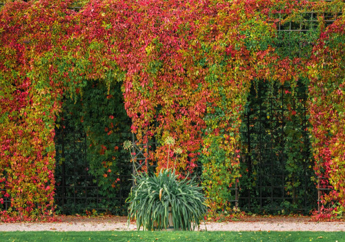 Elevate Your Yard with Expert Turf Management & Pergolas