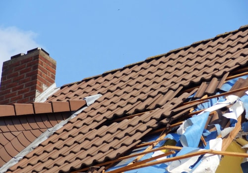 Revive Your Landscape with Storm Damage Restoration
