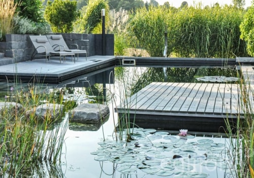 Swimming Pond Construction in Rapperswil-Jona Enhanced by Smart Turf Management for Balanced Outdoor Living