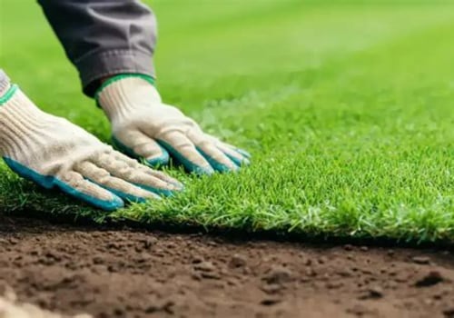 The Impact of Mowing Techniques on Turf Health: A Comprehensive Look at Turf Management