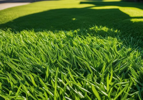 Essential Nutrient Management for Healthy Turf: A Practical Approach