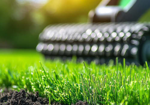 Understanding Overseeding: A Key Component of Effective Turf Management